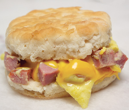 Biscuit Sammy